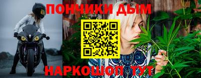 мдпв Аргун