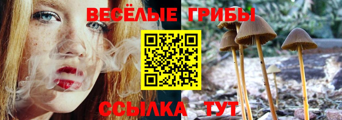 Псилоцибиновые грибы мицелий Бердск